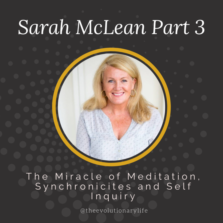 Sarah McLean Part 3: The Miracle of Meditation, Synchronicities and Self Inquiry (S1:E71)